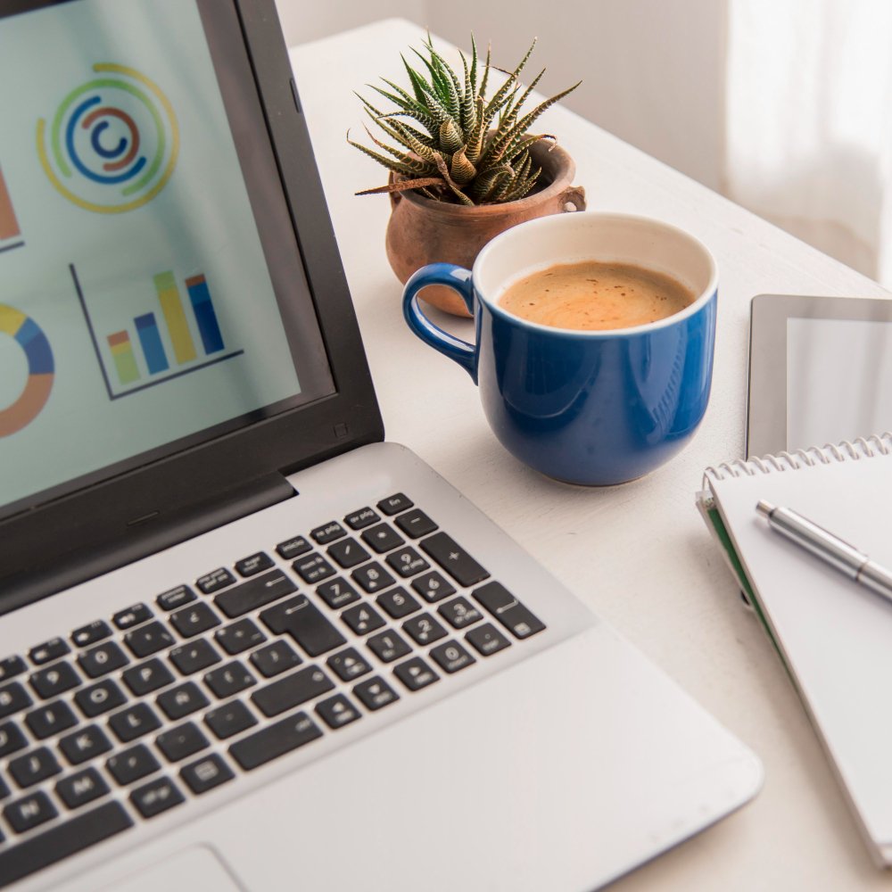 Jasa Pembuatan Website & SEO Berkualitas SEO Studio